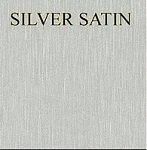 Silver Stain