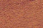 Brich Burl Melamine Edge Banding